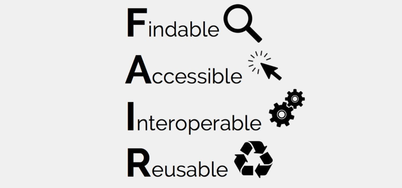 FAIR for Data and AI